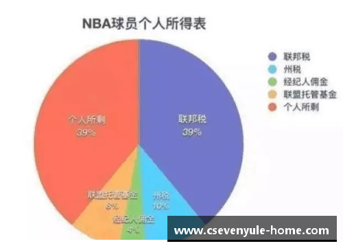 NBA球员薪酬分析：洞察体育巨头的收入结构