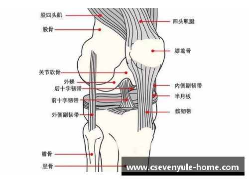 韧带断裂：运动员的隐形威胁